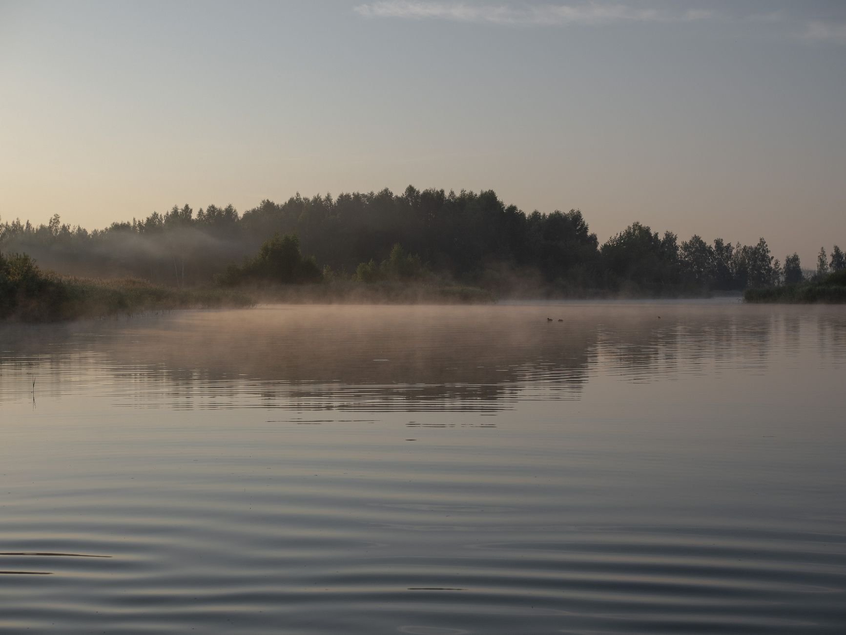 A tranquil misty dawn over a peaceful lake reflecting the natural landscape in soft light.